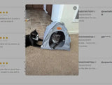 Foldable Pet Tent with Removable Mat | 4-Season Waterproof Outdoor Cat&Dog House | Portable Travel Bed for Camping/Hiking | Brea